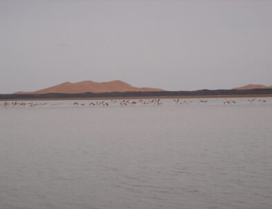 Desert-lake.jpg